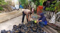 IMG-20250216-WA0012